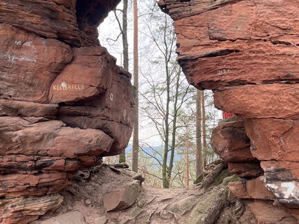 23-02-28 10-00-21 4444